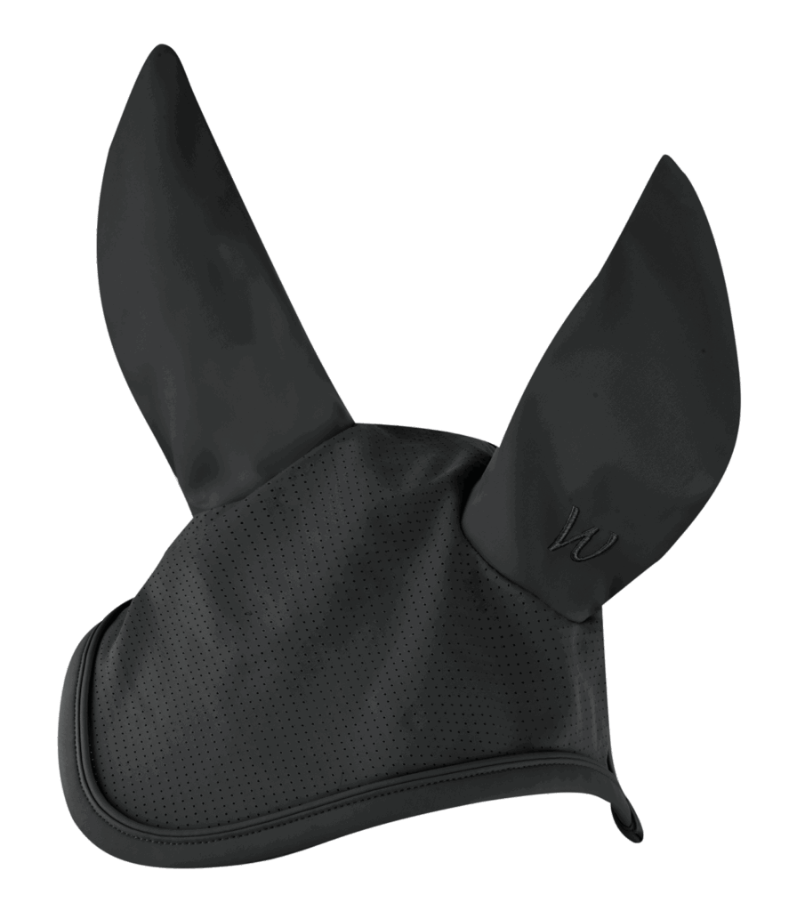 Performance vliegennetje