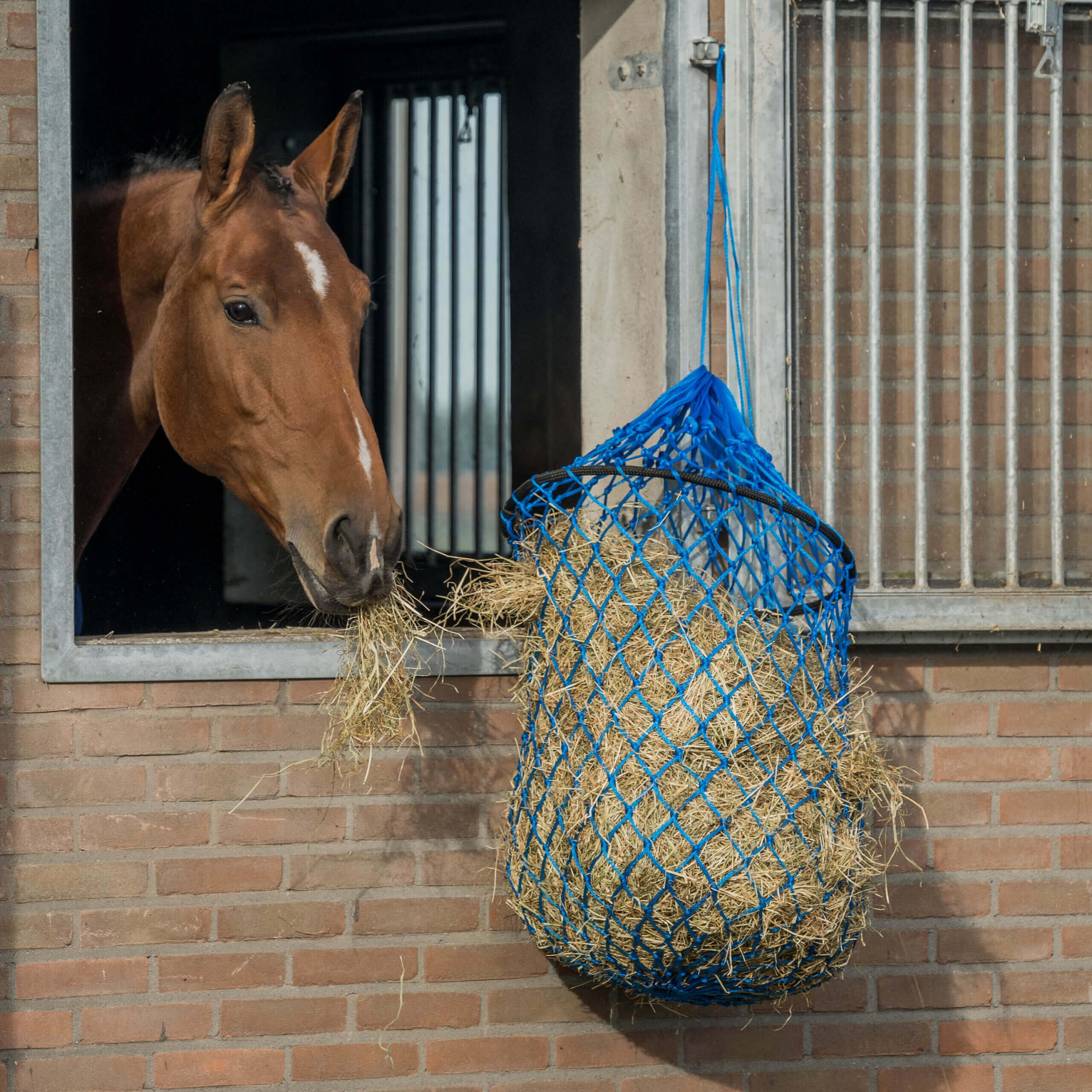 Hooinet Easy Fill - Afbeelding 5