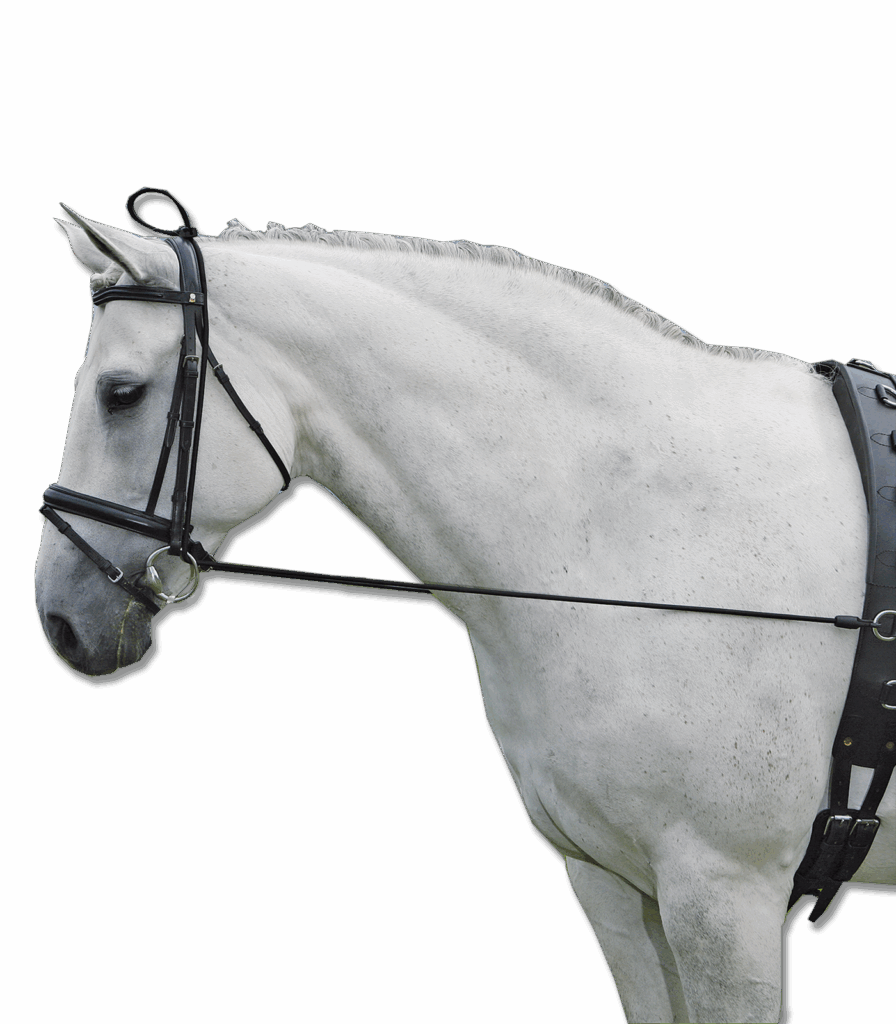 Elastische halsrekker