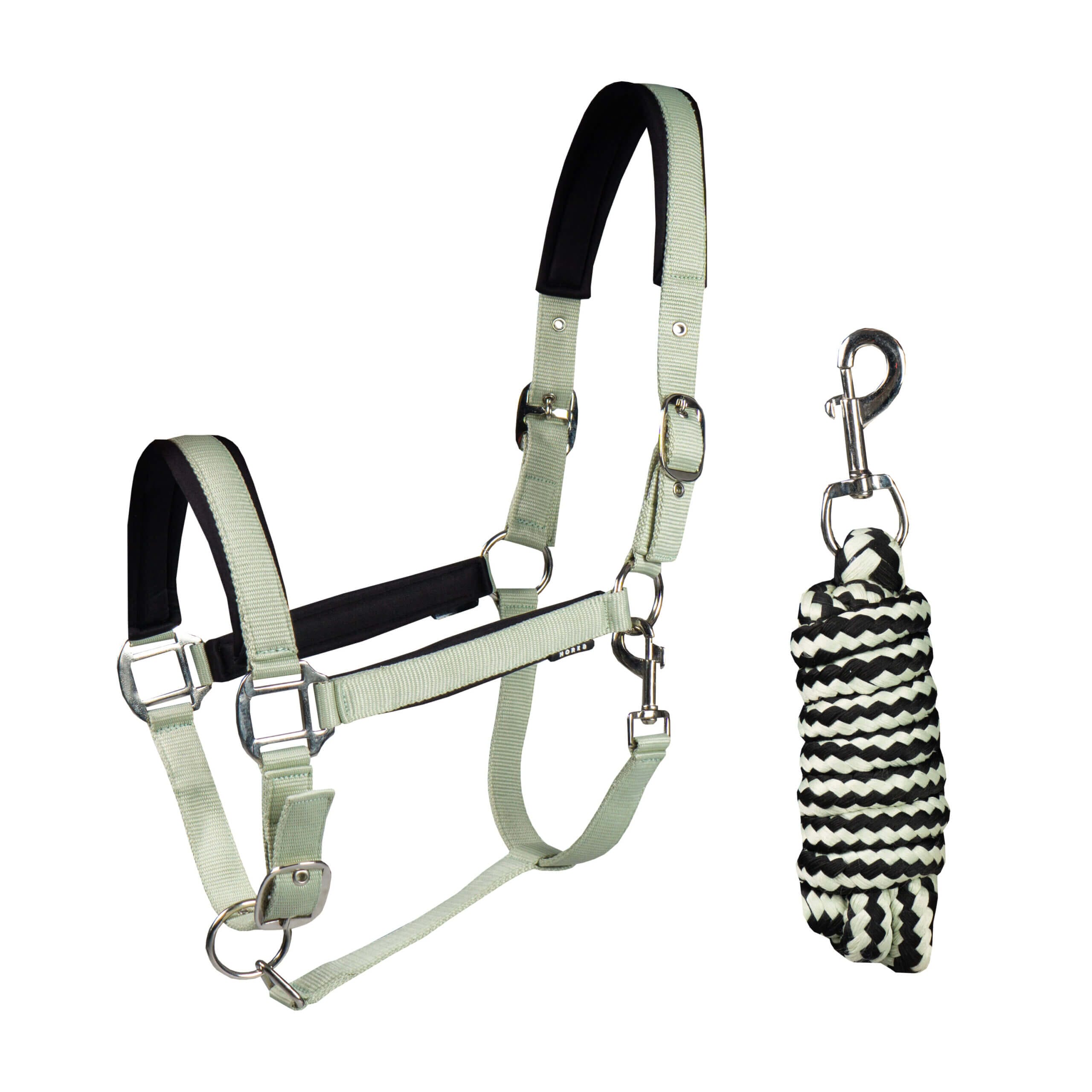 Halster Set Neoprene - Afbeelding 5