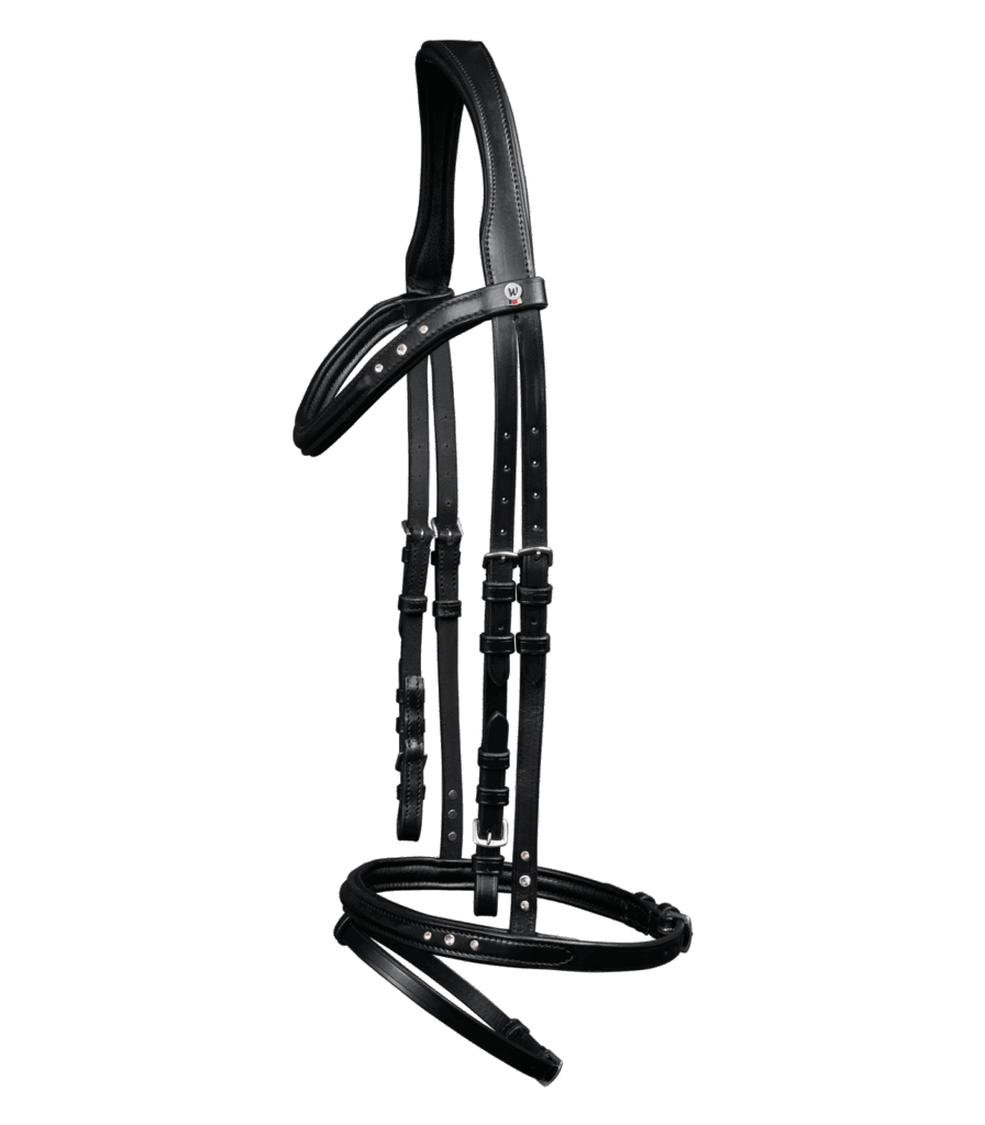 Ijslands stang-en-trens hoofdstel