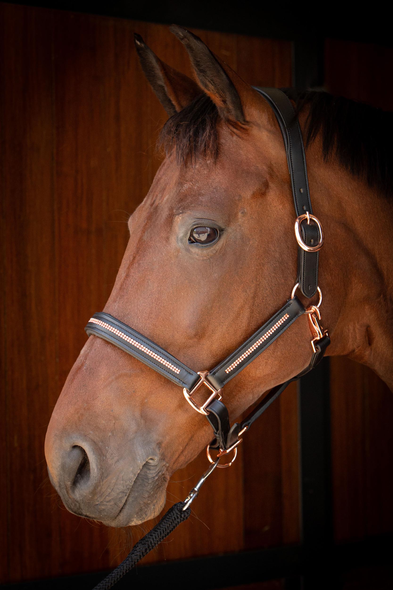 Halster Leder Metallic - Afbeelding 3