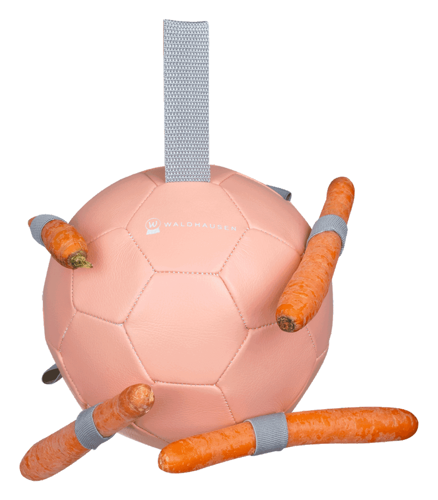 Carrot ball innovatieve speelbal voor paarden