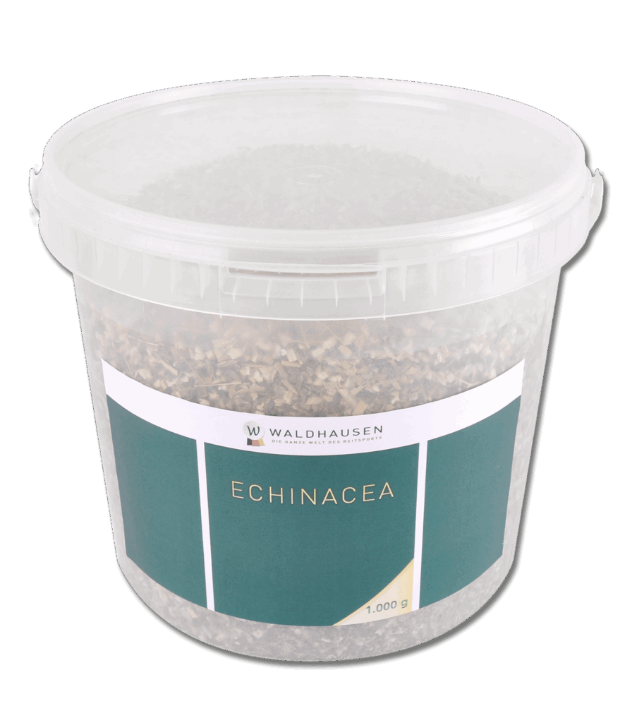 Echinacea ter stimulatie van het immuunsysteem, 1 kg