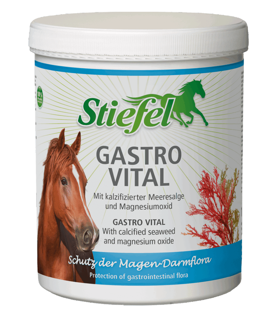 Stiefel gastro vital supplement 1kg