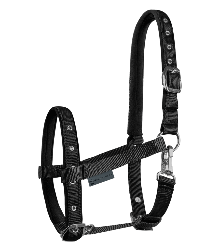 Veulenhalster comfort