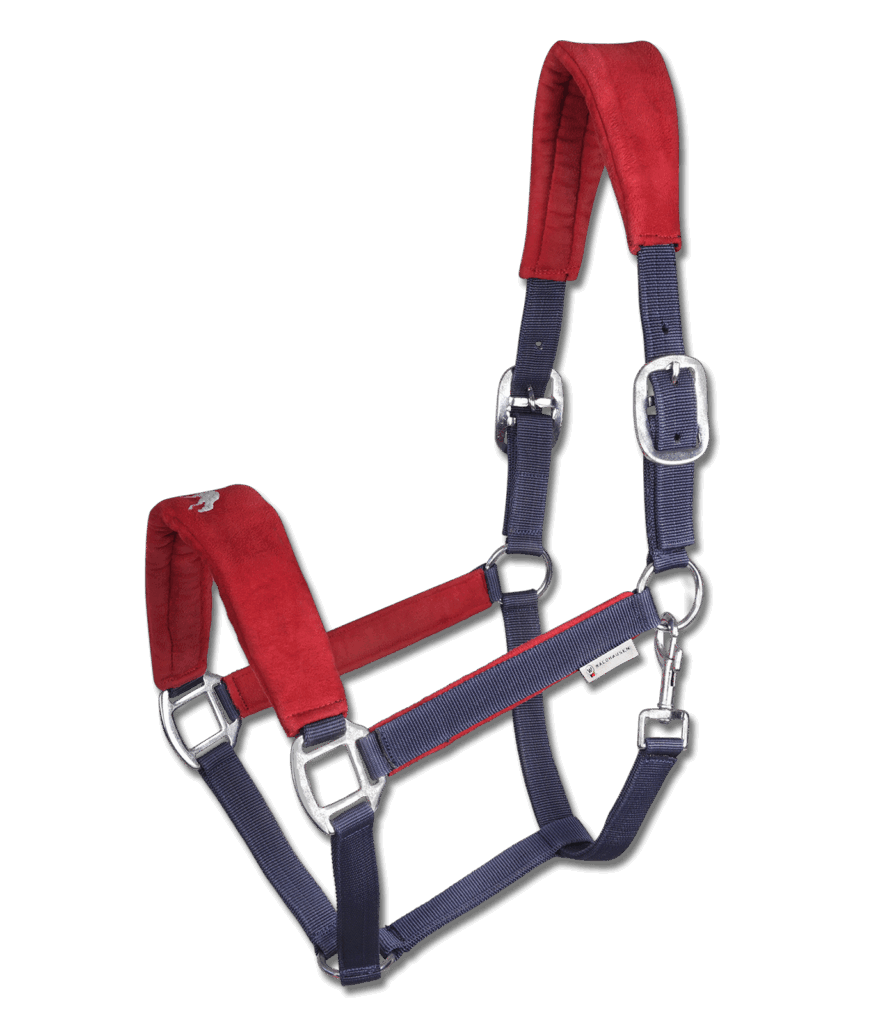 Hellnar ijslands halster