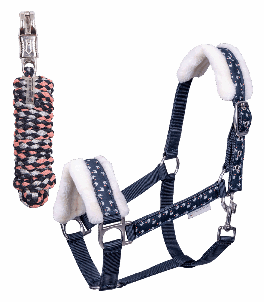 Lucky halster set