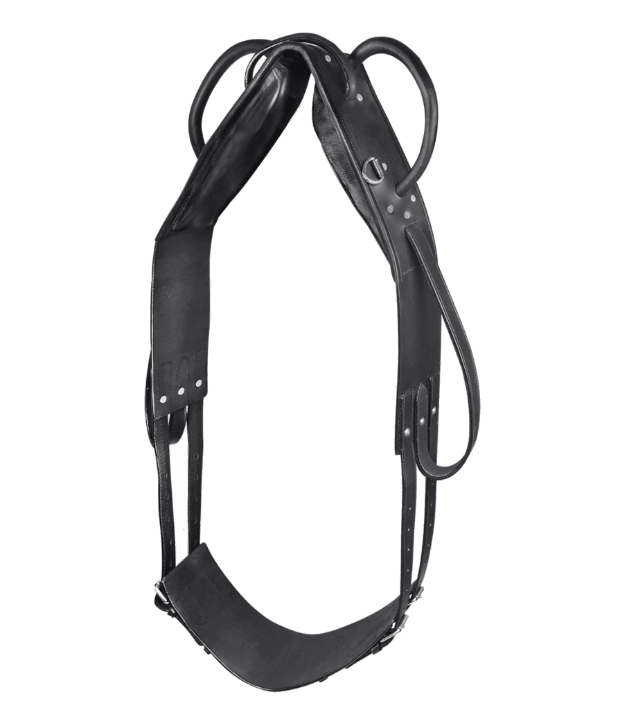 Leren longeersingel voor voltige