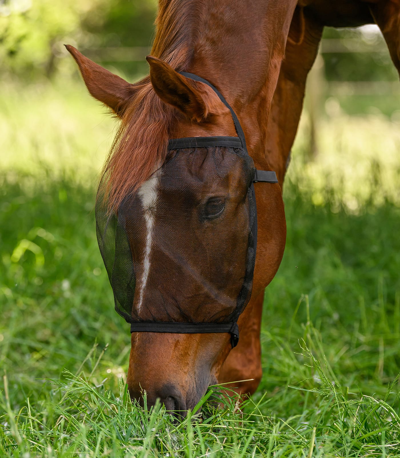 Basis vliegenmasker zonder oren