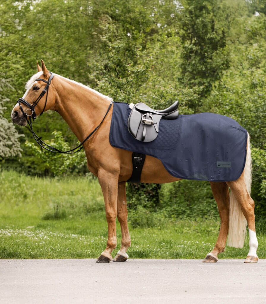 Comfort vliegendeken voor training