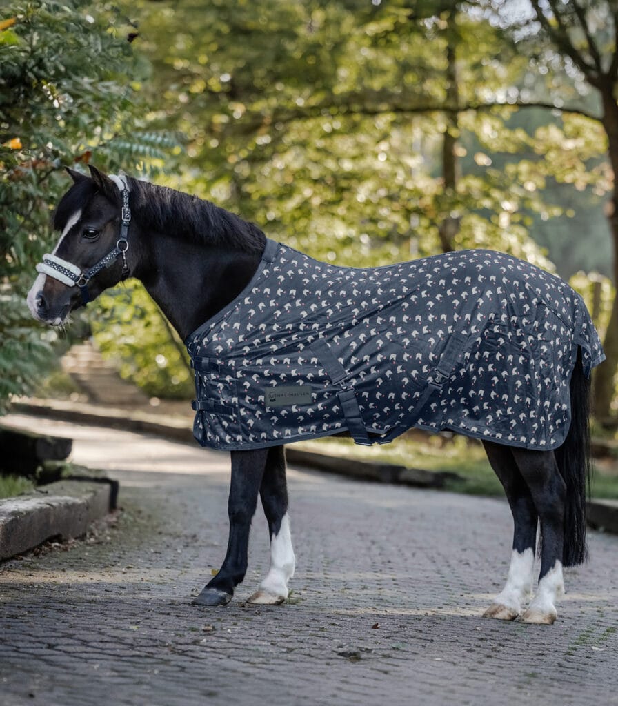 Lucky fly vliegendeken