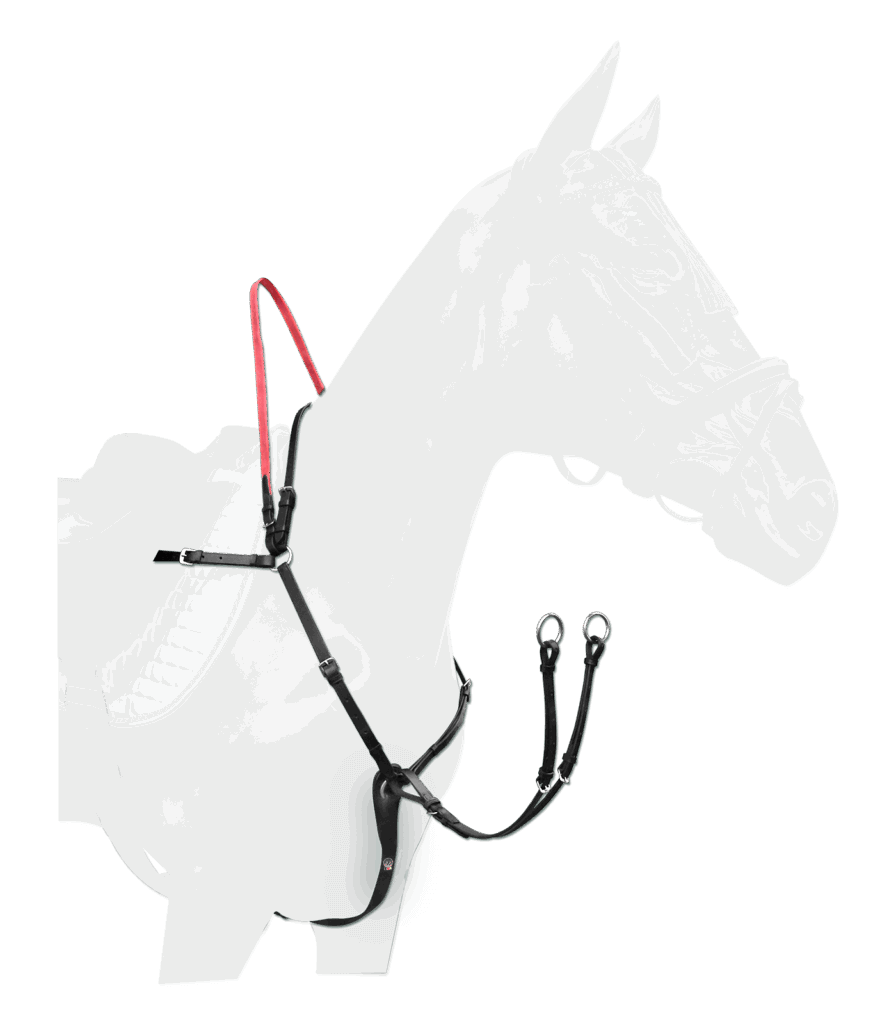 Borsttuig met veiligheidsteugels secutrust