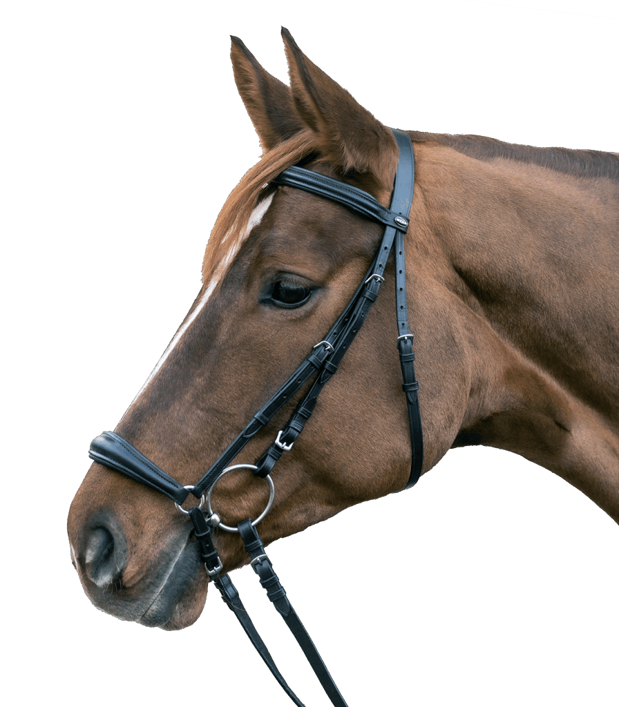 Star hoofdstel hannover