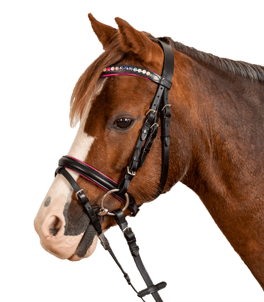 Pinky star hoofdstel