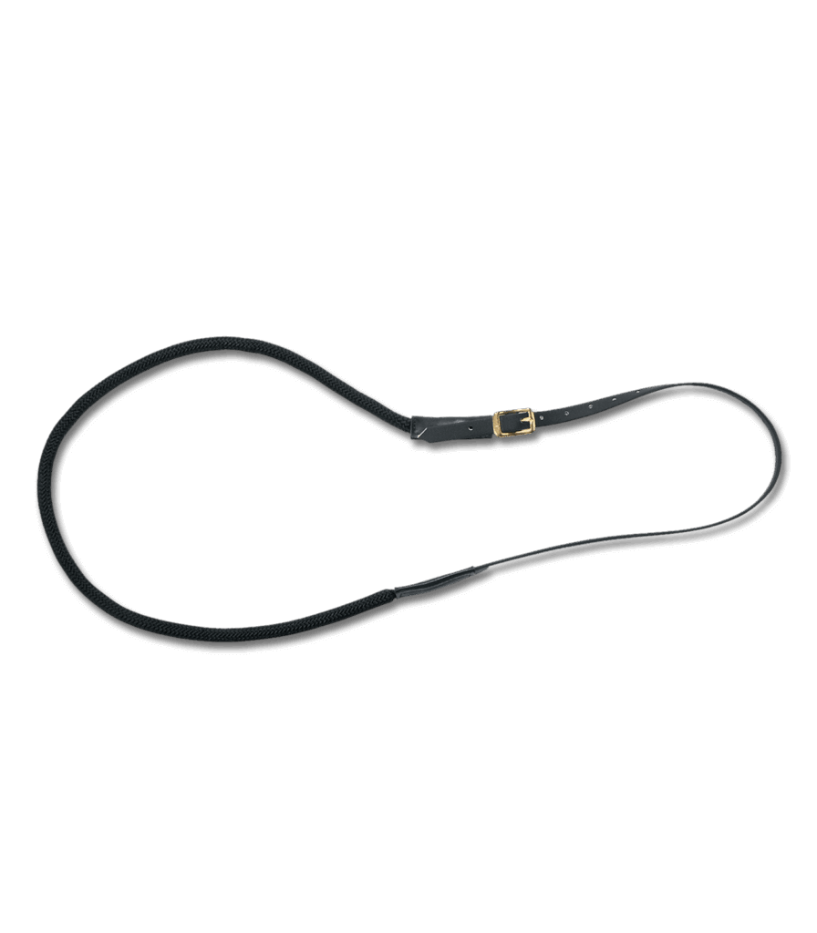 Balans teugels linda tellington jones