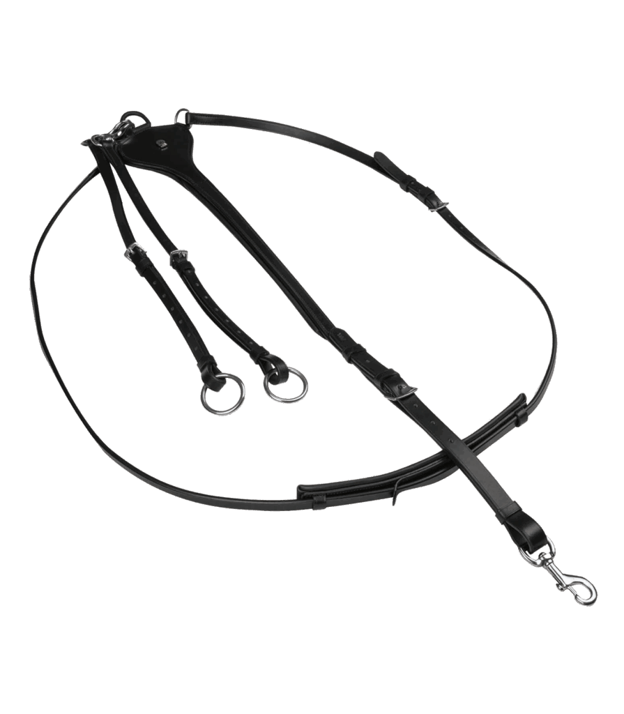 Professionele x lijn martingaal