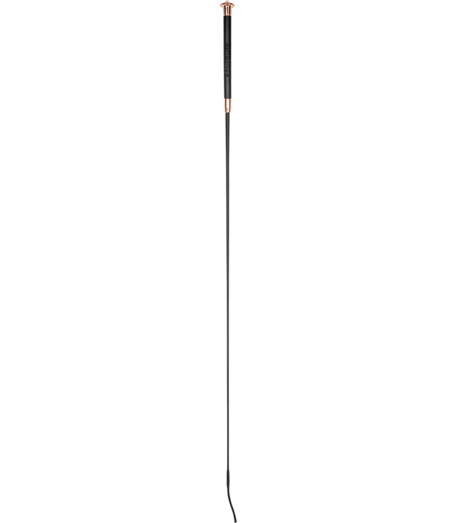 Noblesse dressuurzweep