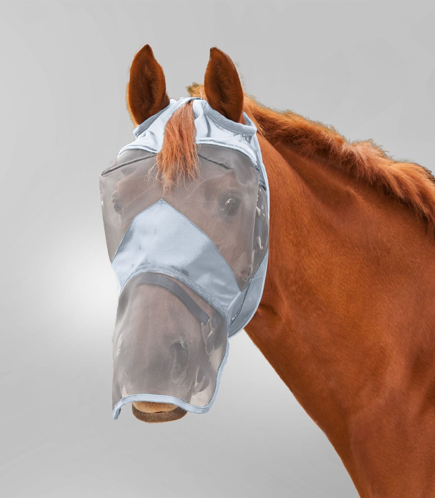 PREMIUM Fly Mask without ear and with nose protection