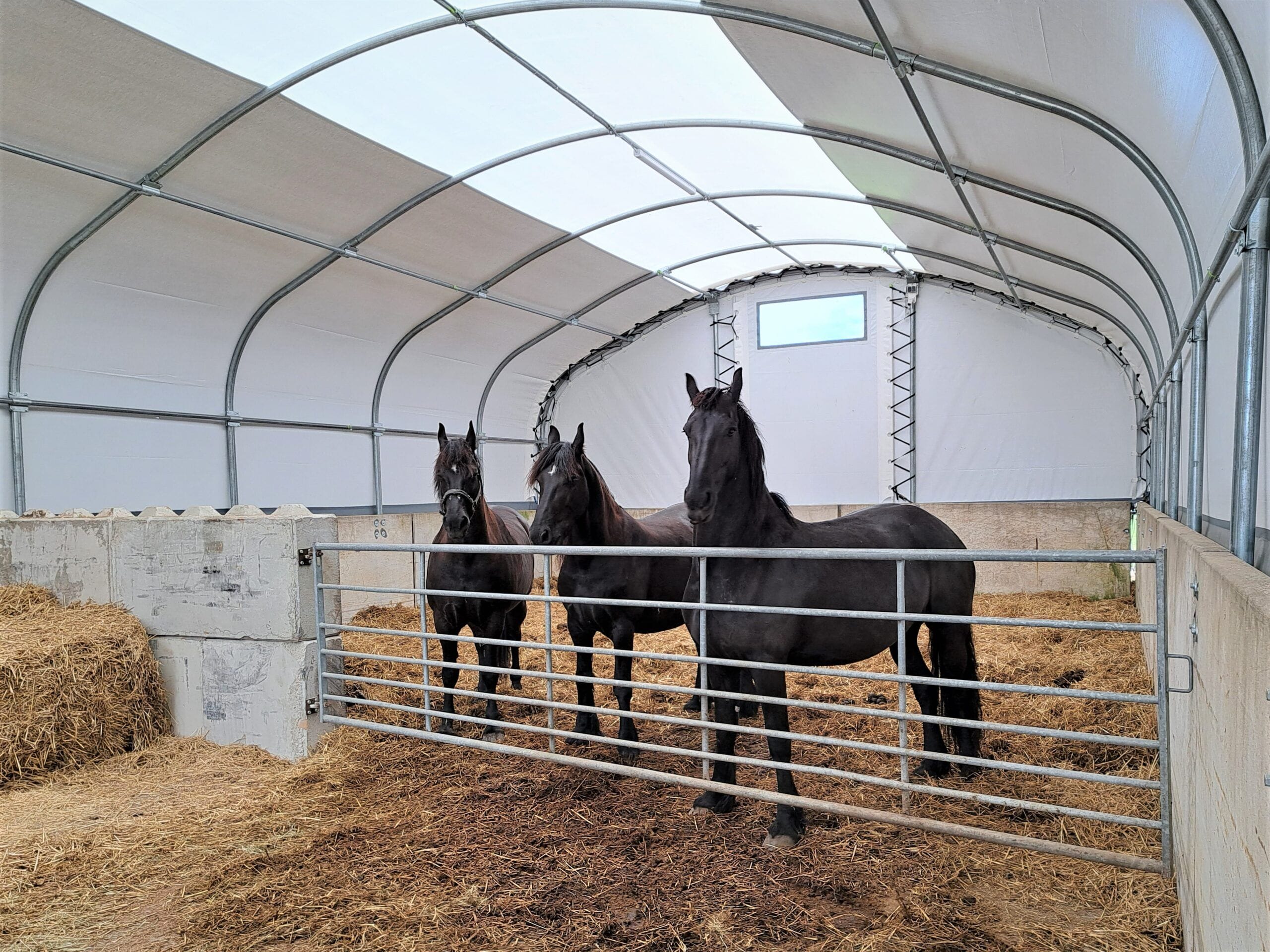 BOXCOMFORT STALSTROOIMIDDEL – DROOG EN FRIS