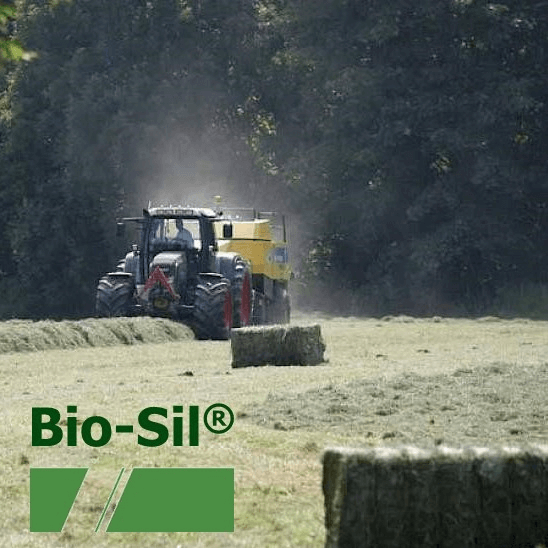 BIO-SIL® INKUILMIDDEL, ZAKJE VOOR 10 HA GRAS - KUILVOER