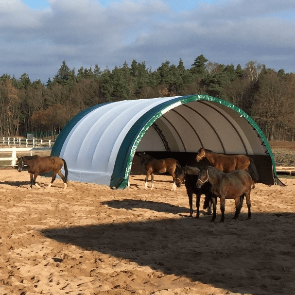 FleXstal - flexibele huisvesting - stal of schuilstal