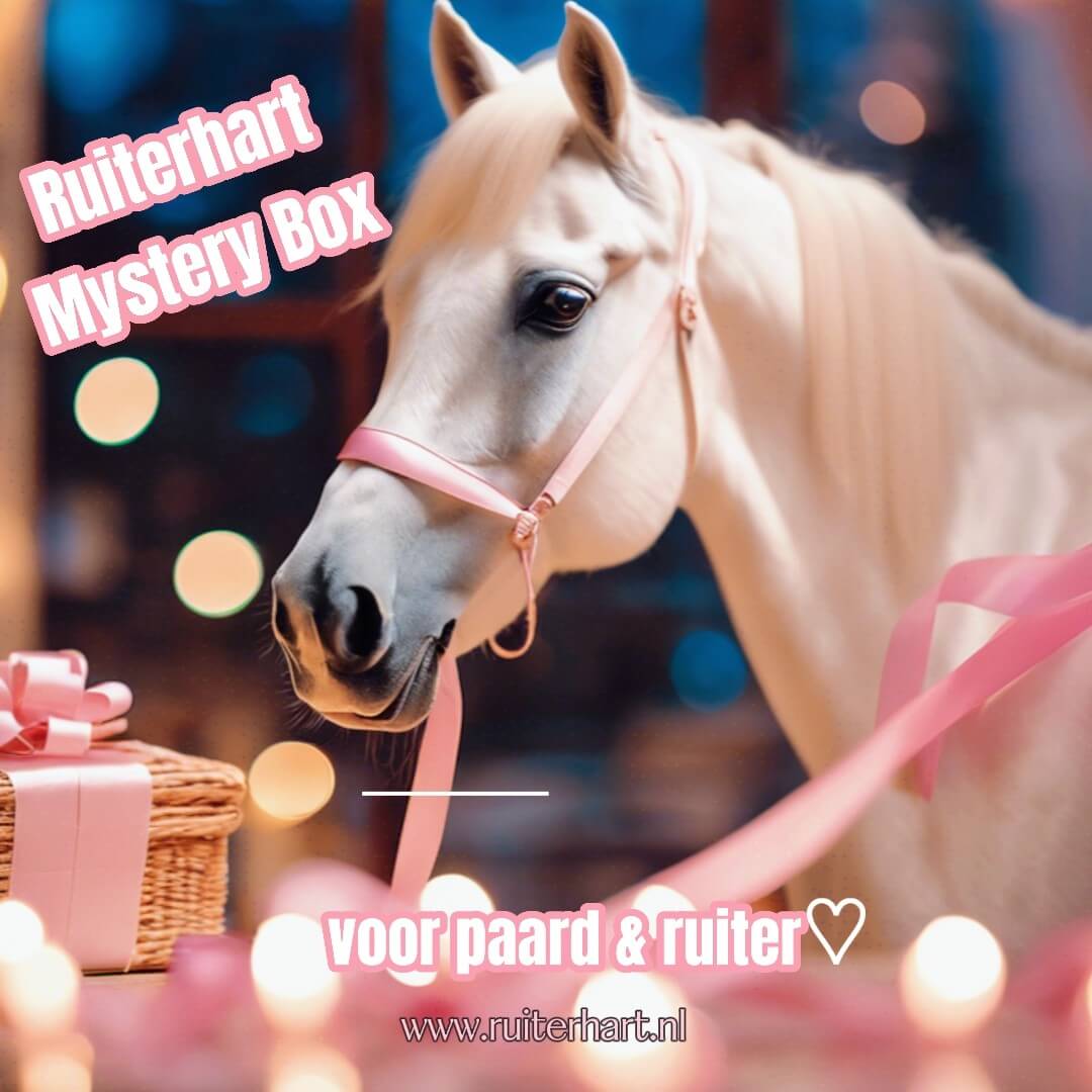Ruiterhart mysterybox