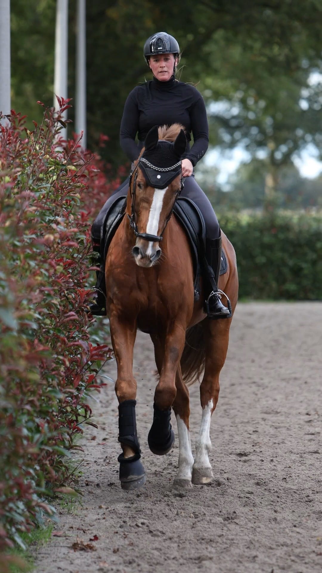 Phoenix springschoenen 'HW2024'