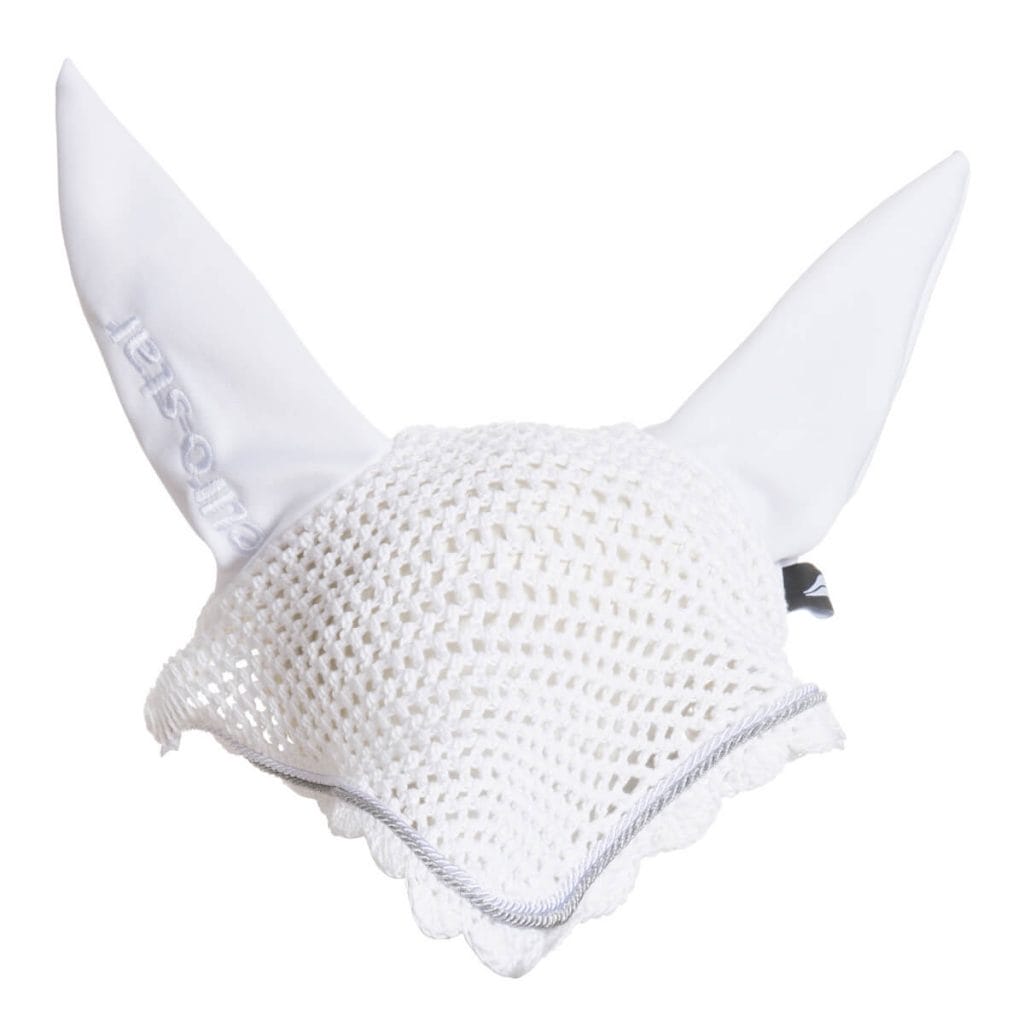 Vliegennetje Gradient