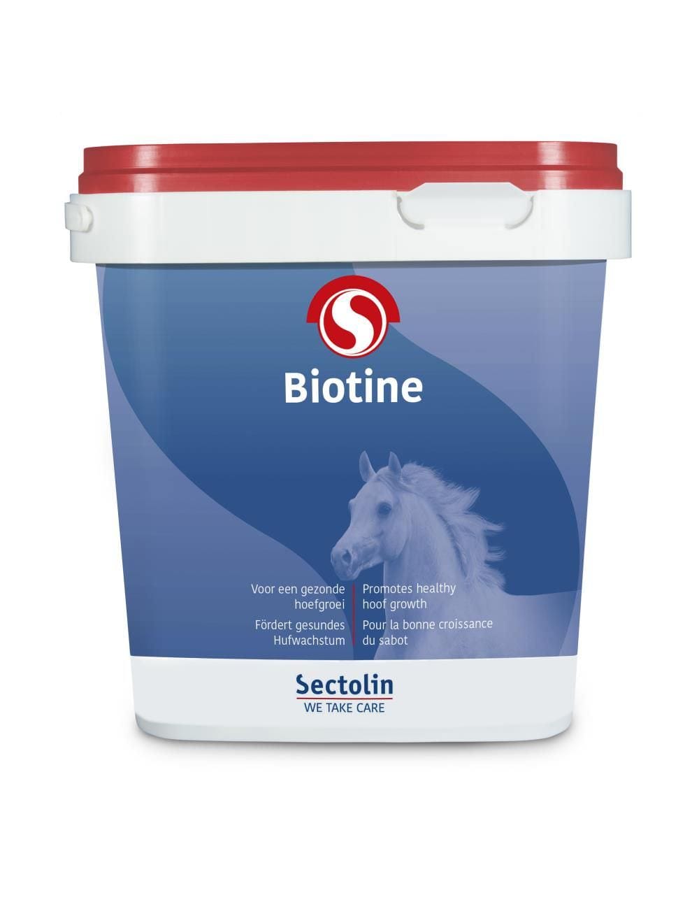Sectolin Equivital Biotin