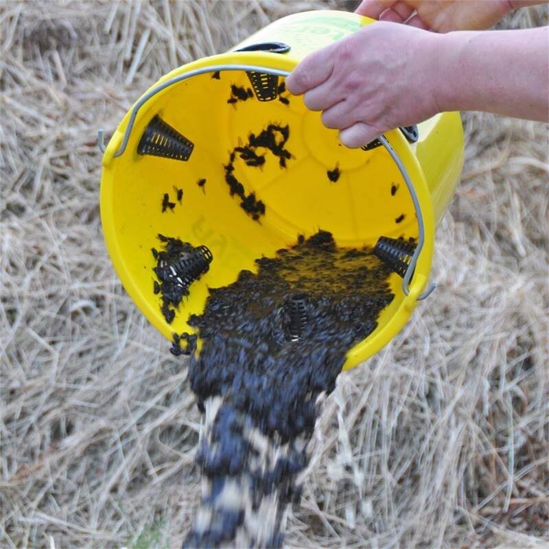 VLIEGENVAL MET LOKSTOF