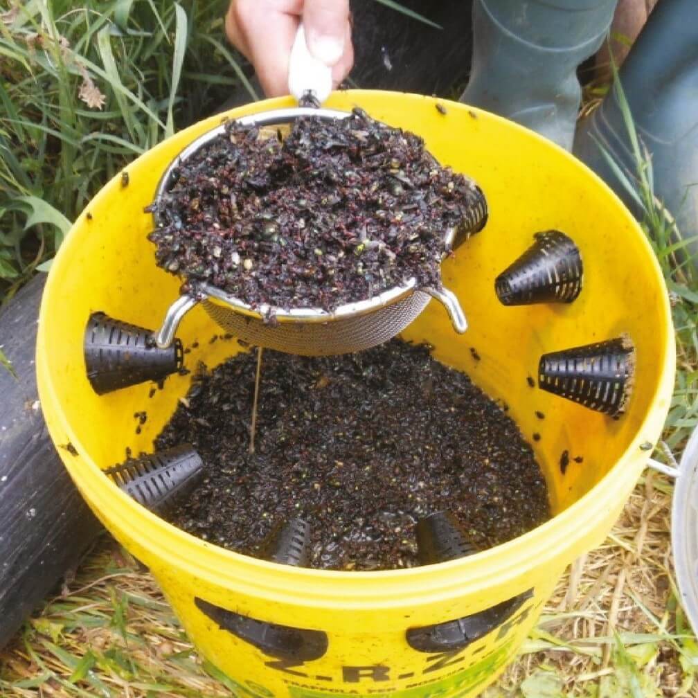 VLIEGENVAL MET LOKSTOF